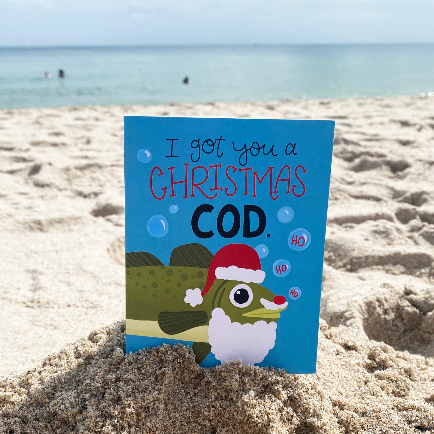 florida Christmas card